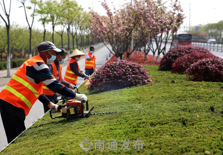 如何应对恶劣天气条件下的绿化养护? 如何应对恶劣天气条件下的绿化养护?