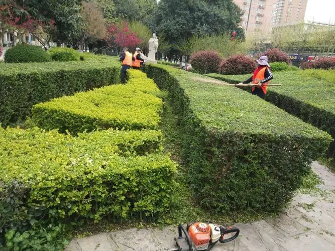 龙岩景观绿化工程班组 龙岩景观绿化工程班组